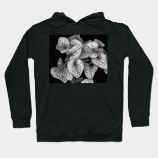 Stocksom Leaves 15 Hoodie